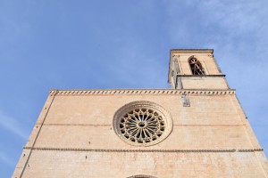 DSC_0348