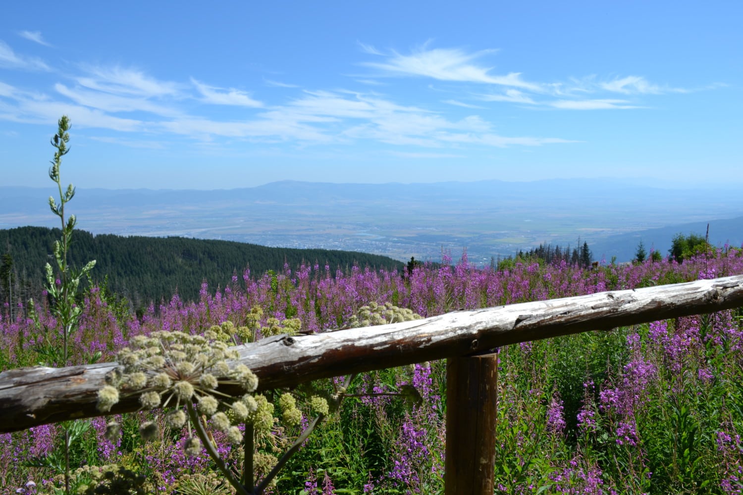 sofia-vitosha