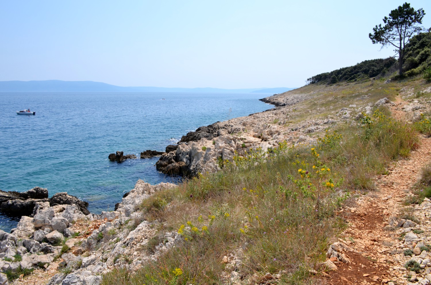 duga luka