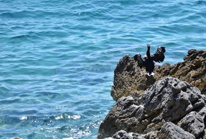 istria