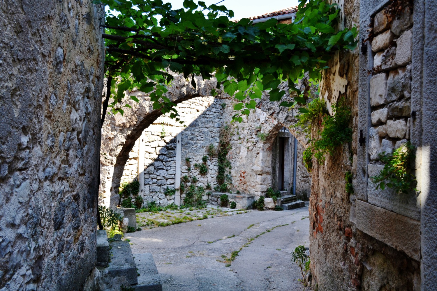 plomin