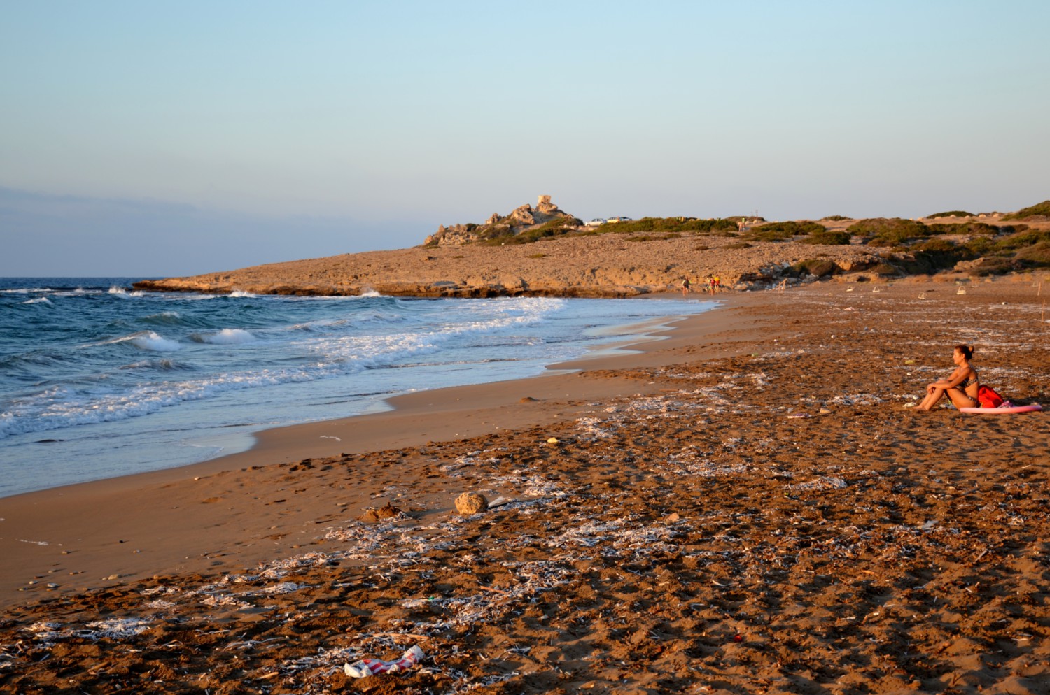 tartarughe_spiaggia