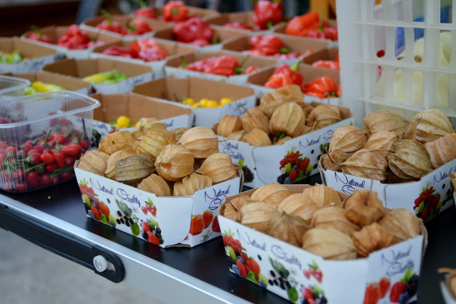 mercato_lubiana