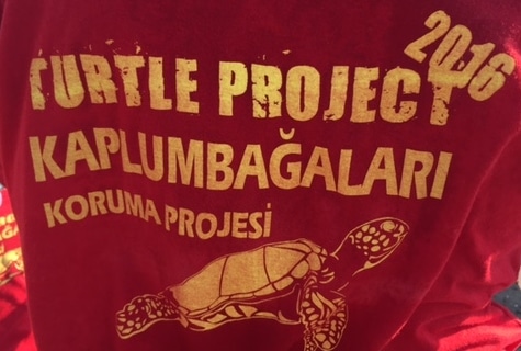 tartarughe_cipro tartarughe_cipro