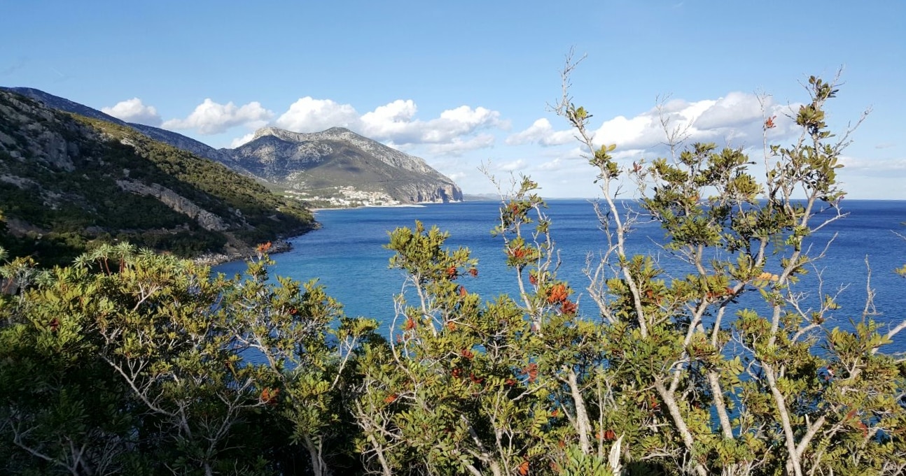 sardegna sardegna