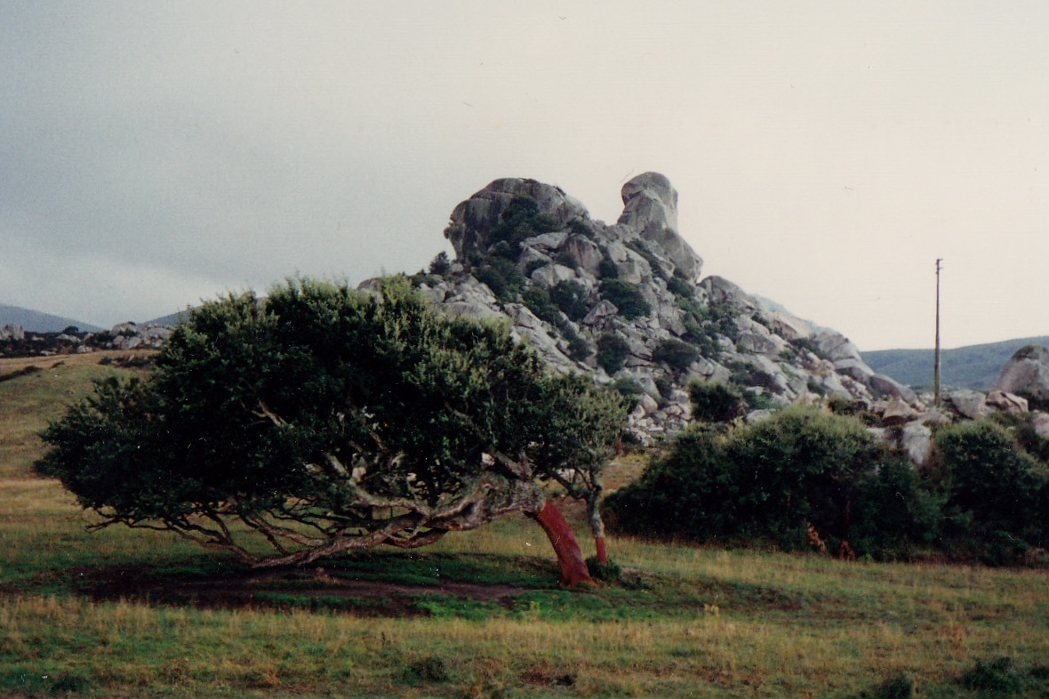 sardegna sardegna