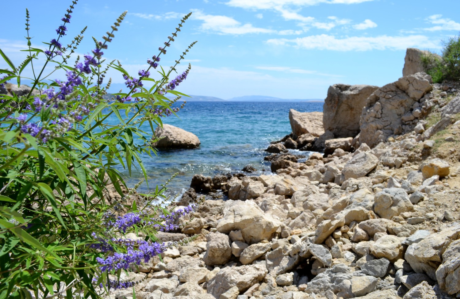 cosa vedere isola krk cosa vedere isola krk