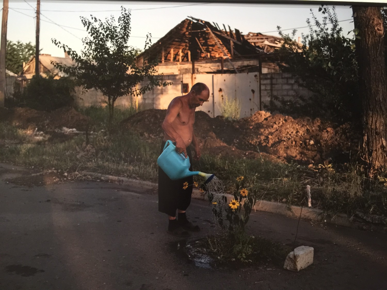 world press photo 2017