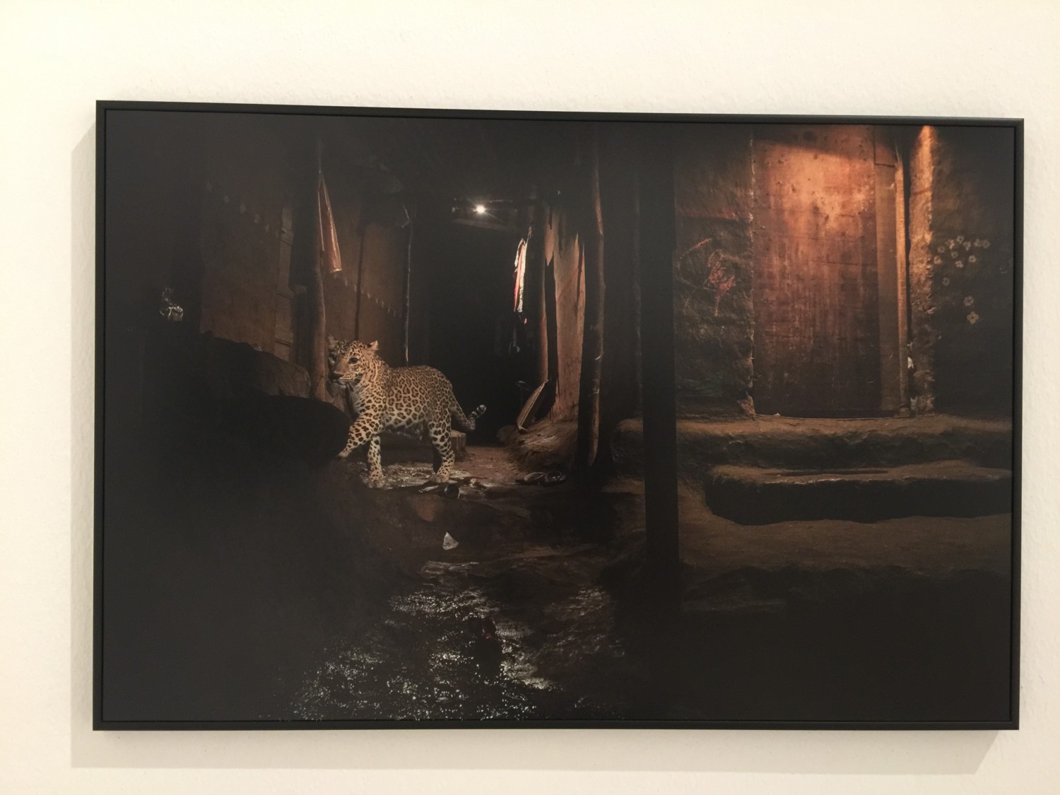world press photo 2017