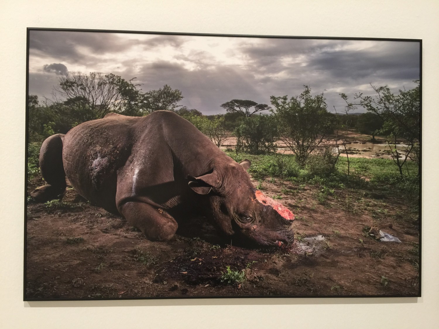 world press photo 2017
