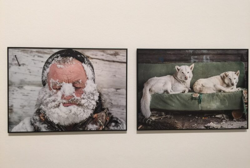 world press photo 2017