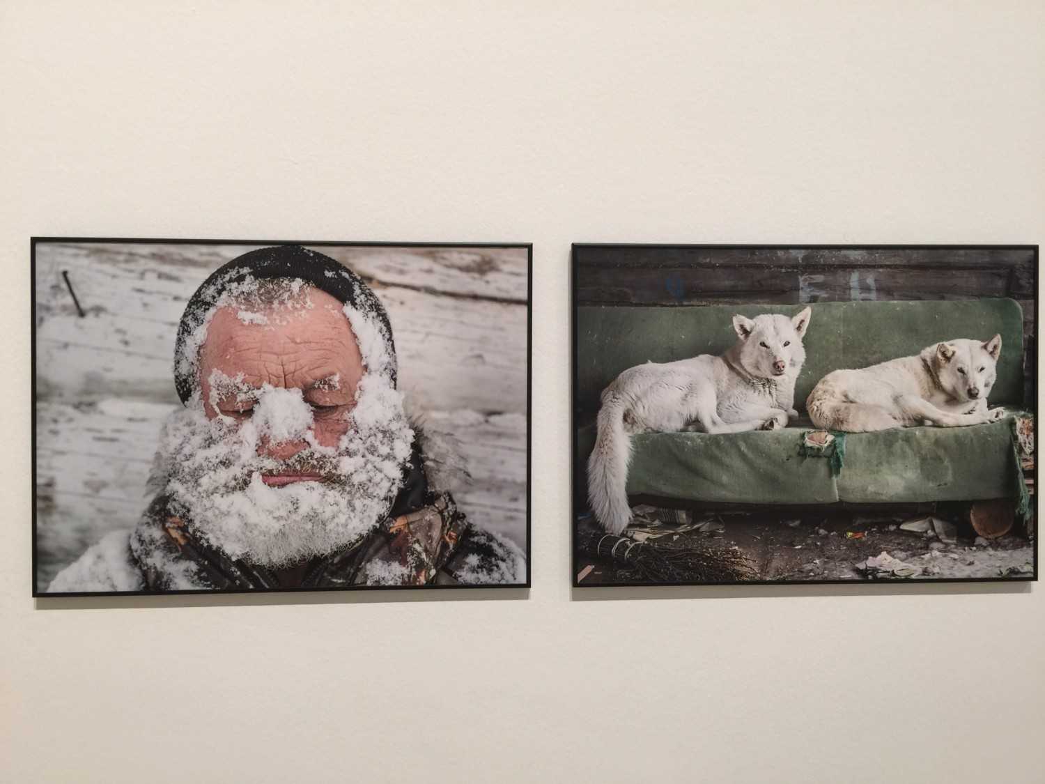 world press photo 2017