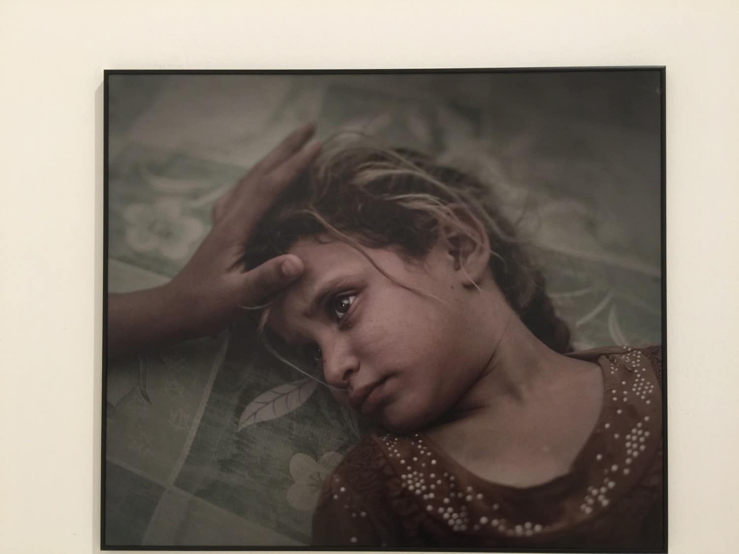 world press photo 2017