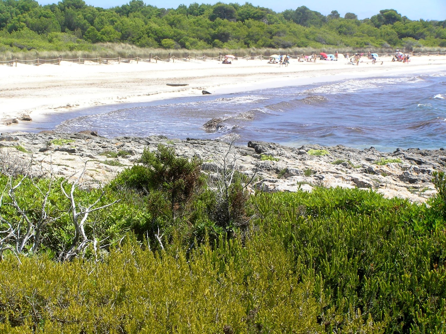 spiagge minorca