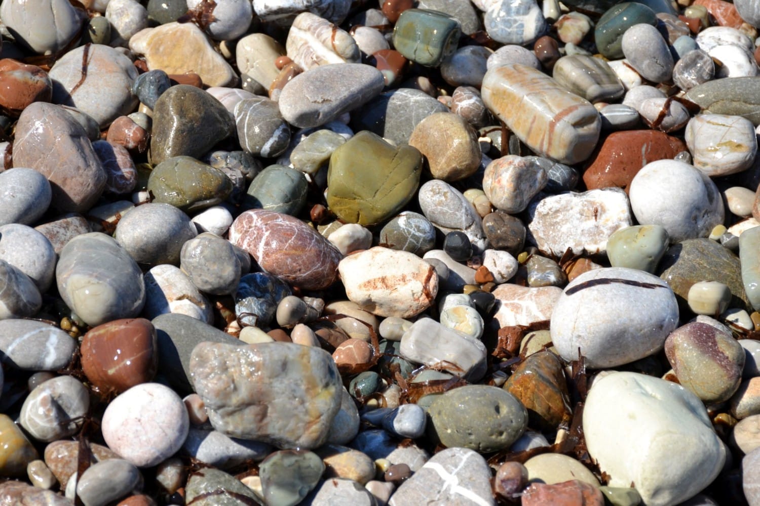 cipro spiagge