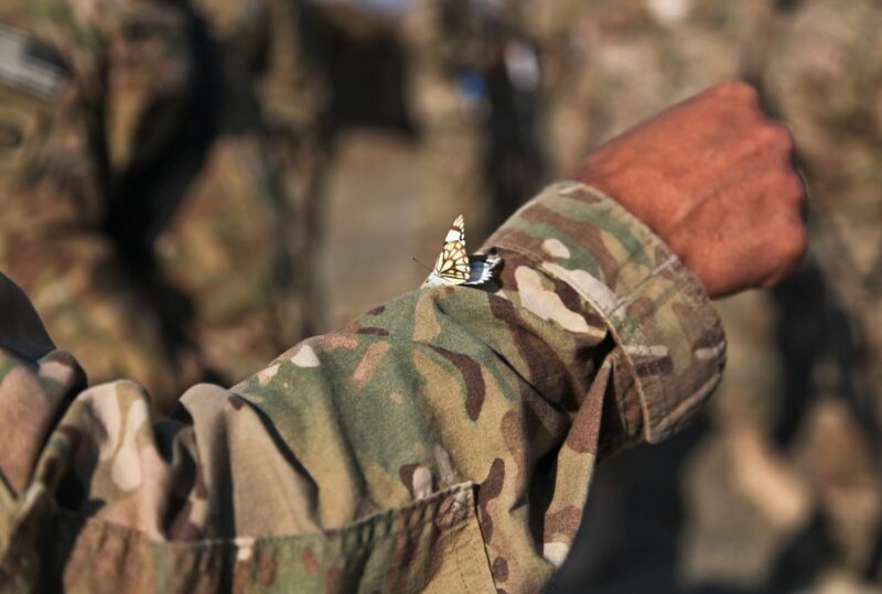 atiq rahimi afghanistan