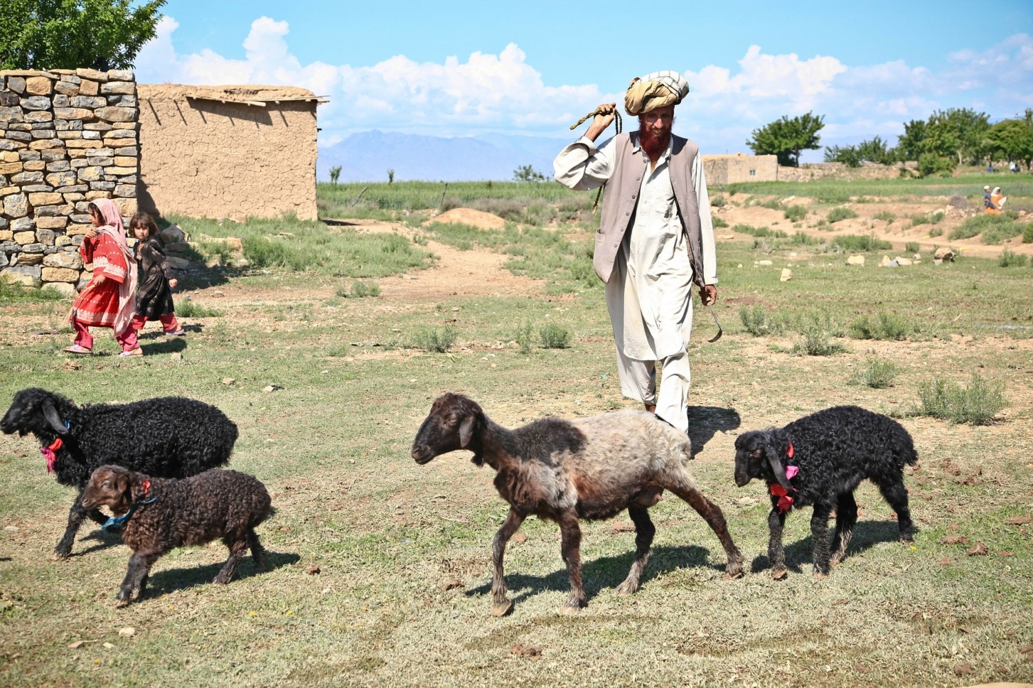 atiq rahimi afghanistan atiq rahimi afghanistan