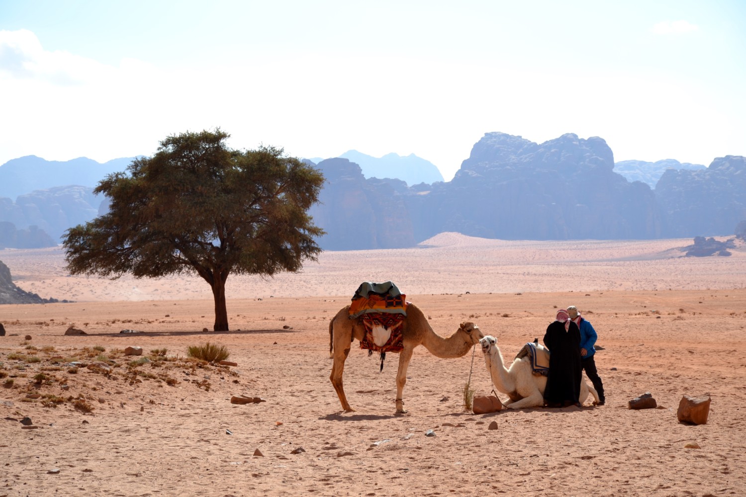 wadi rum deserto della giordania