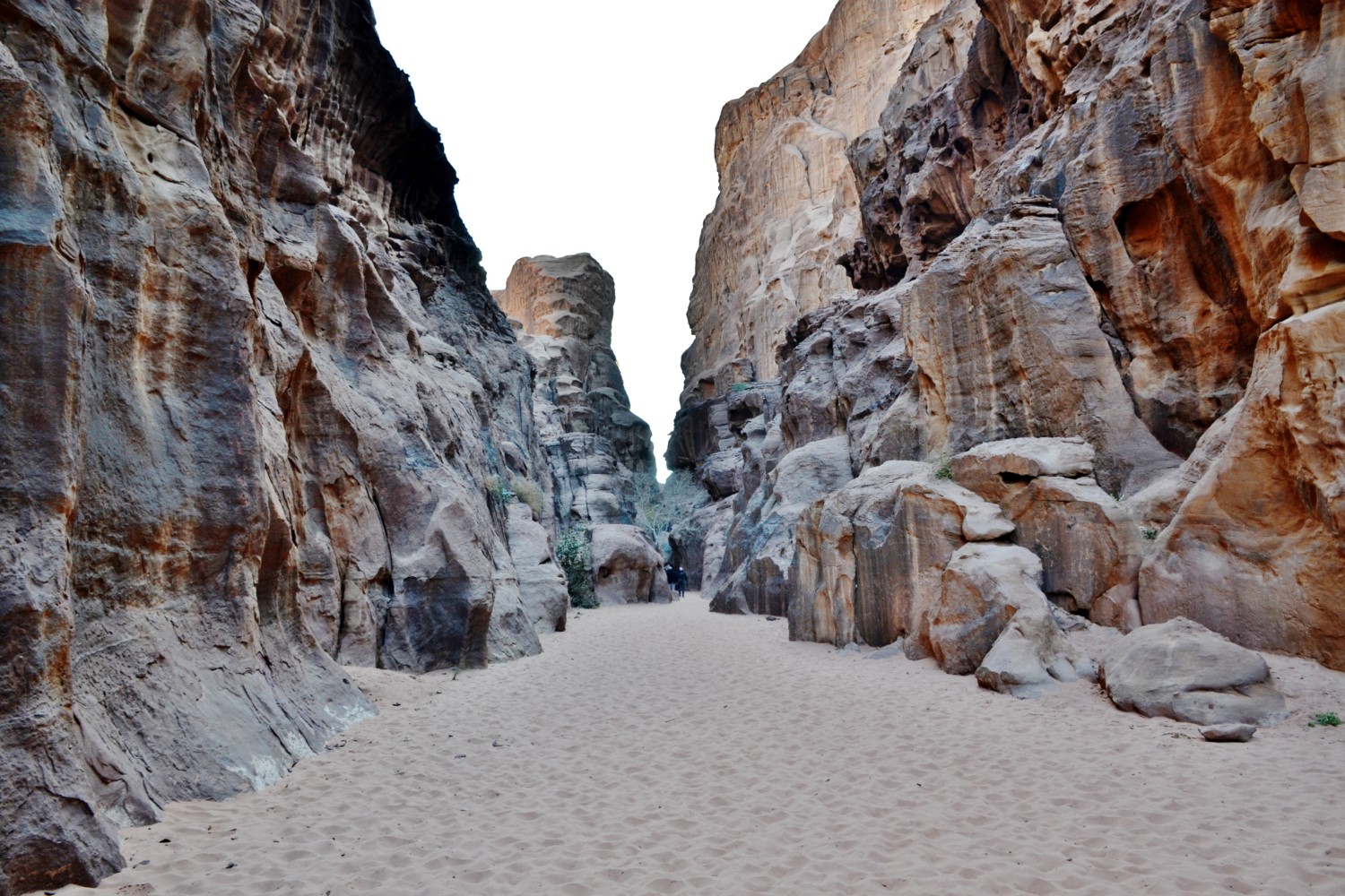 wadi rum deserto della giordania