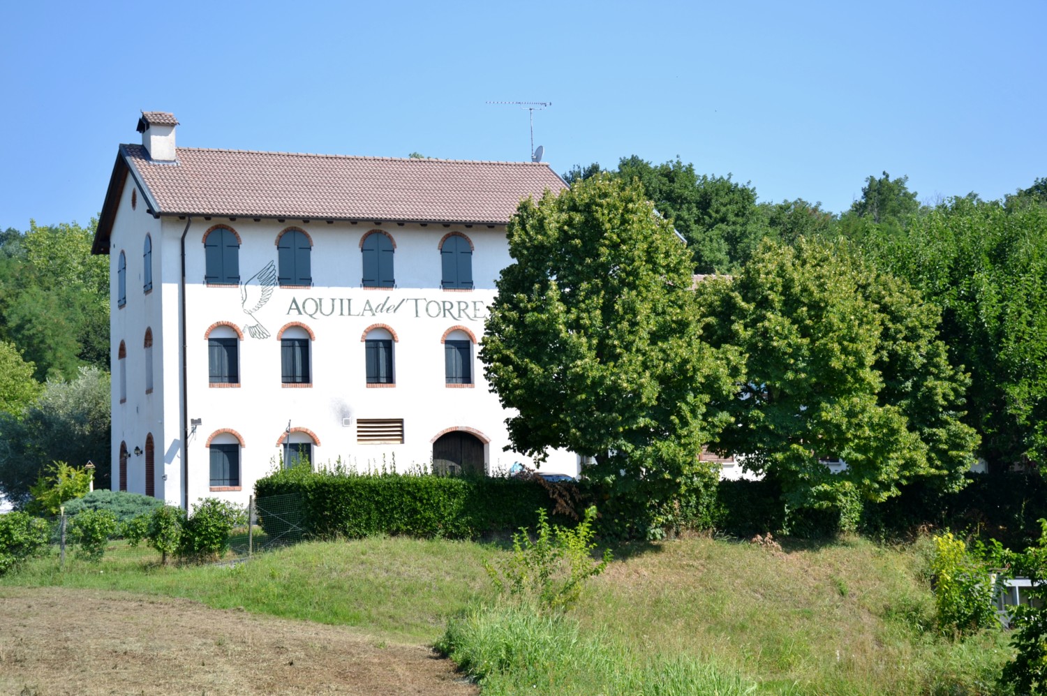 wine tour friuli musement