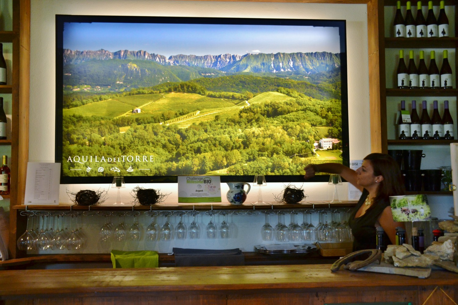 wine tour friuli musement