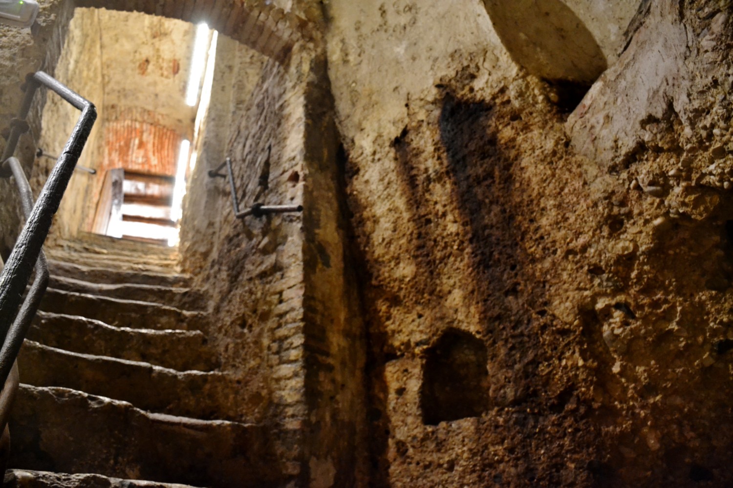 wine tour friuli musement