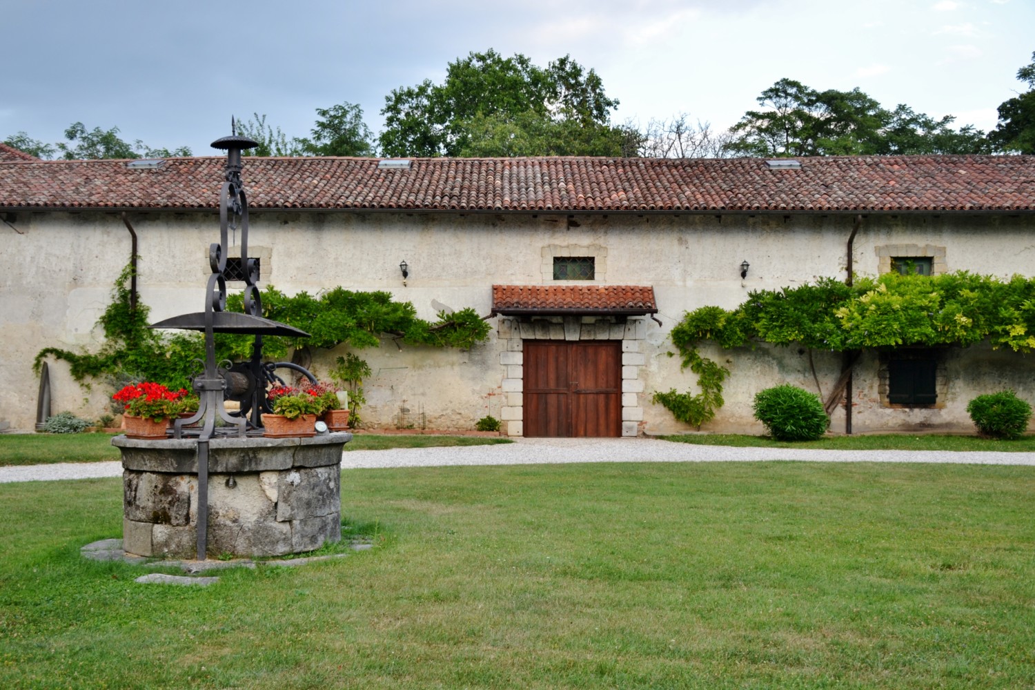 wine tour friuli musement