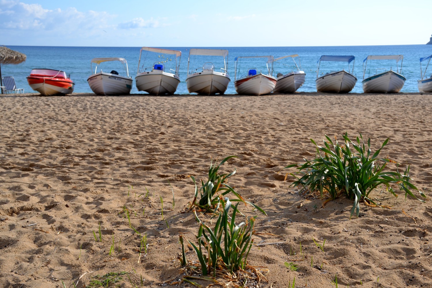 cosa vedere a corfu