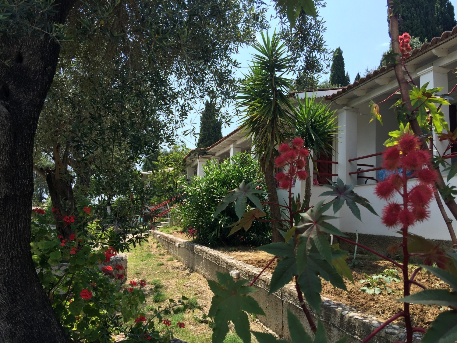 cosa vedere a corfu
