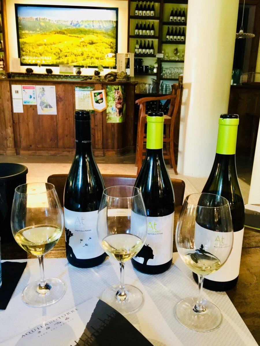 wine tour friuli musement