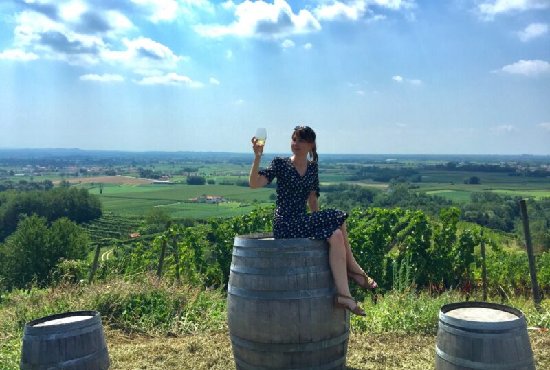 wine tour friuli musement