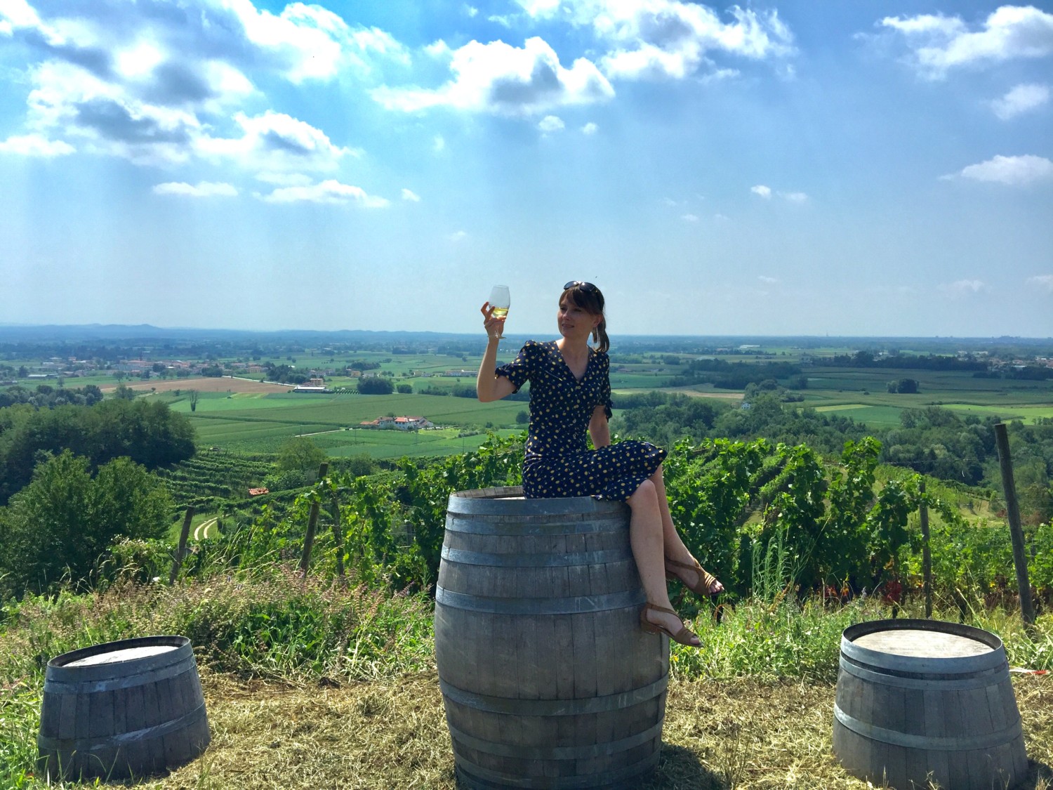 wine tour friuli musement