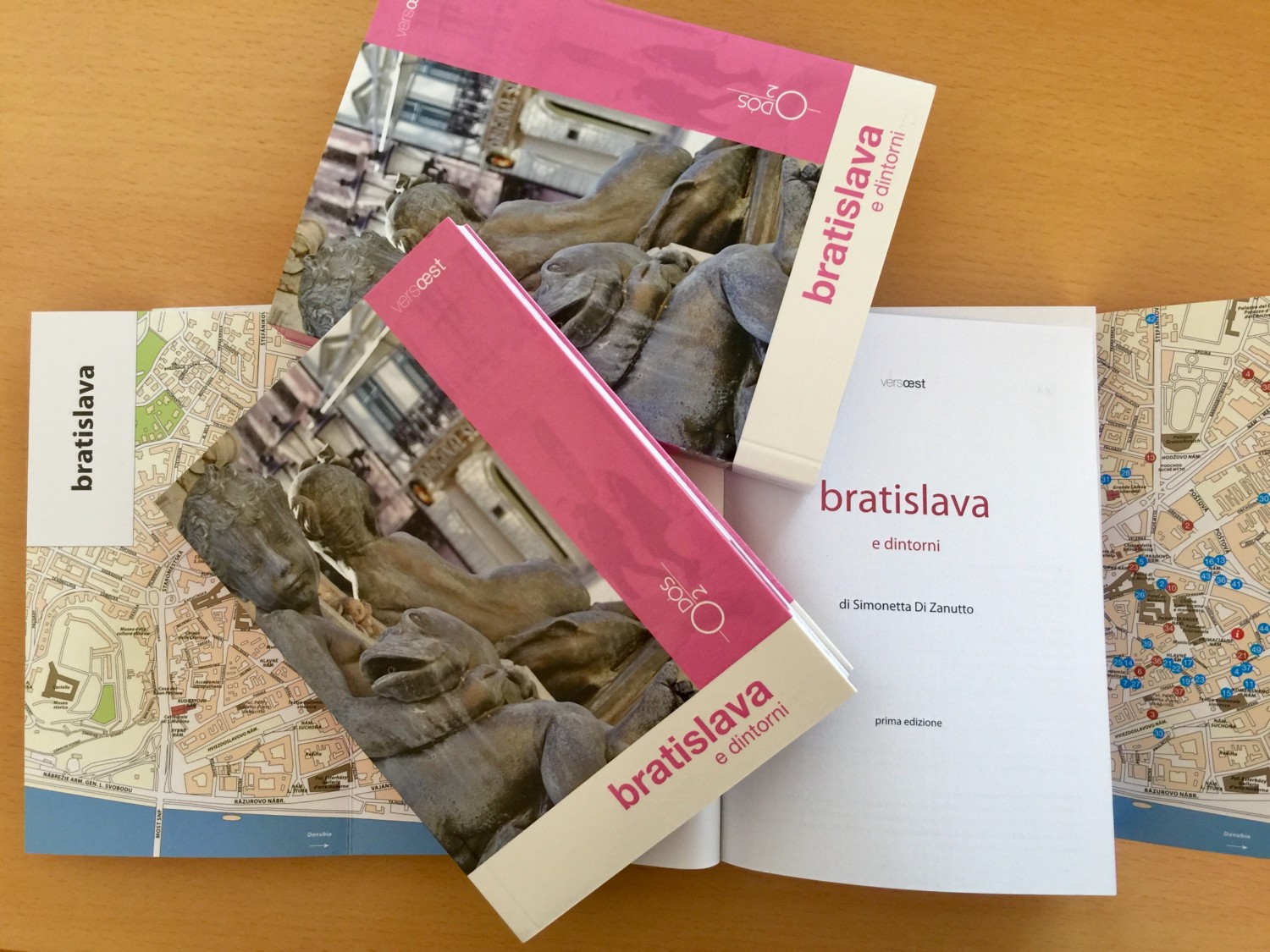 guida bratislava e dintorni