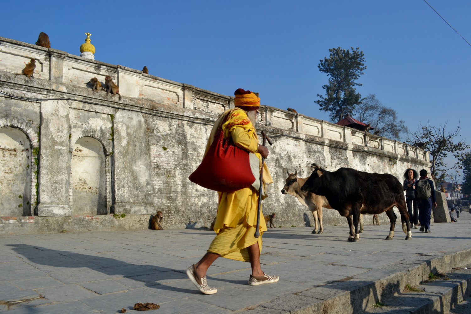cosa vedere a kathmandu cosa vedere a kathmandu