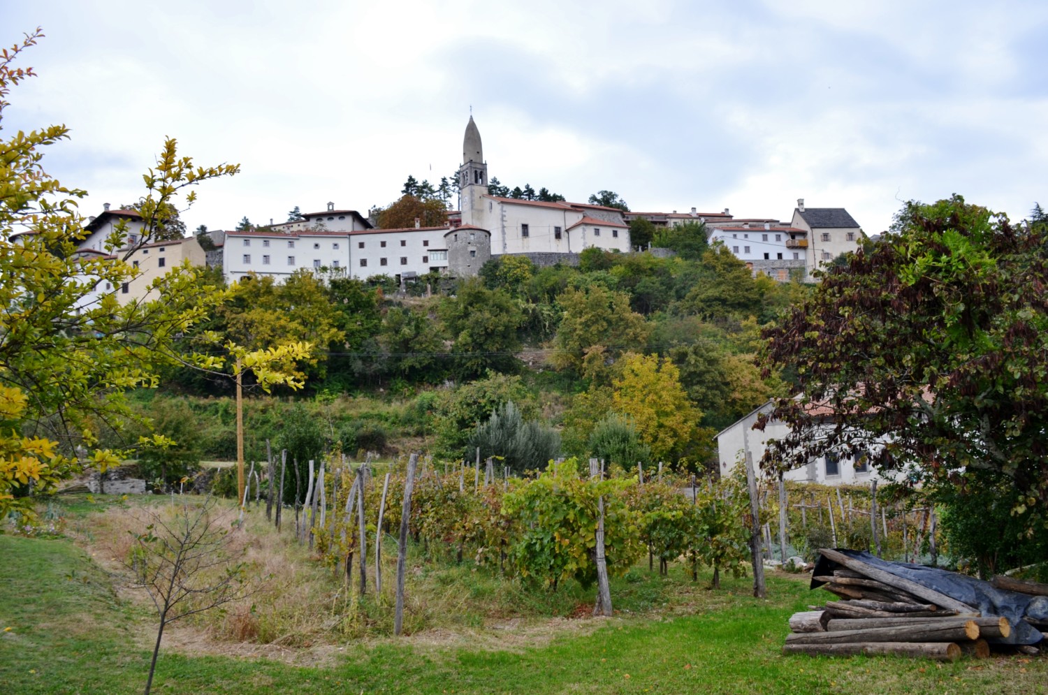 slovenia mese della cucina carsica