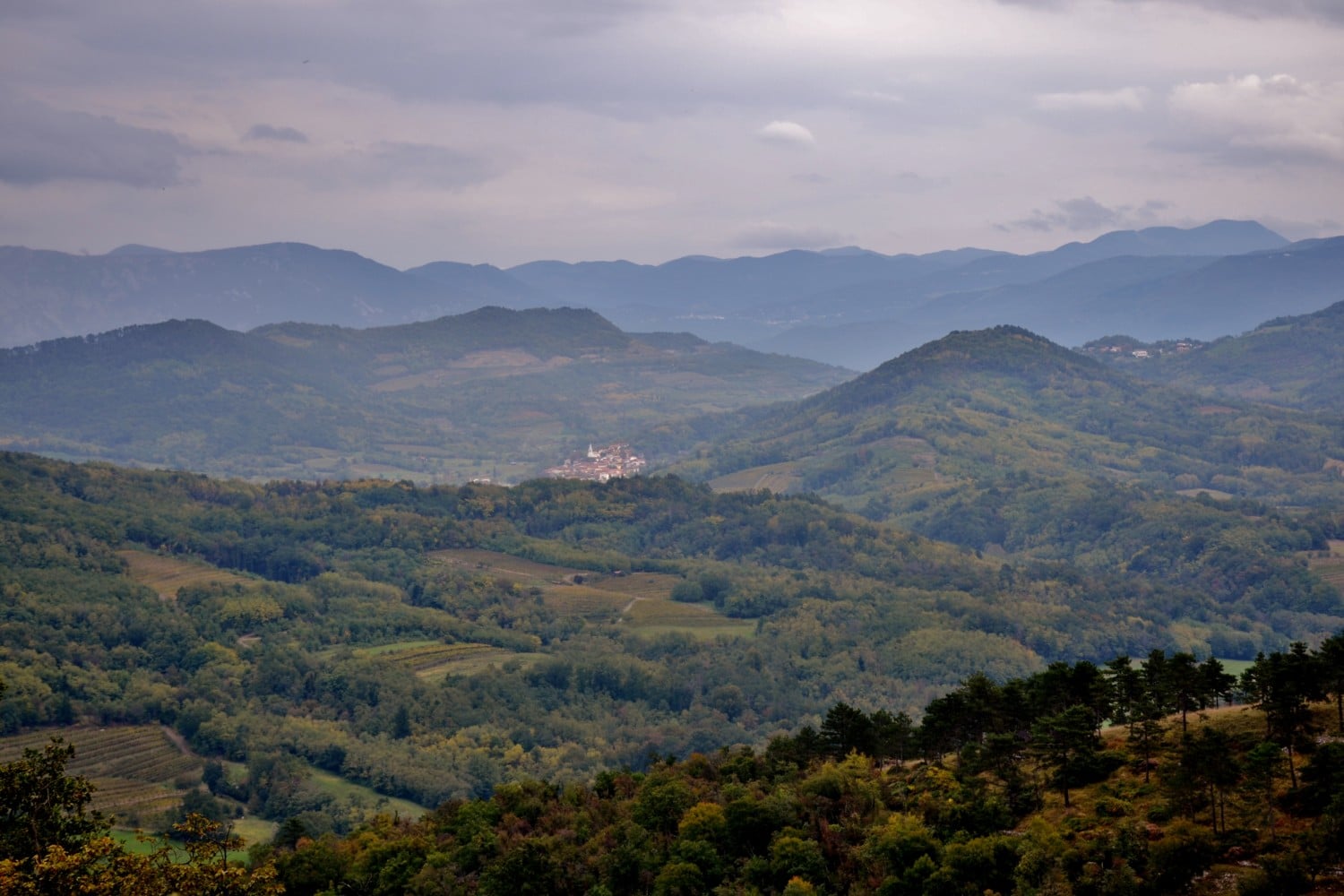 slovenia mese della cucina carsica