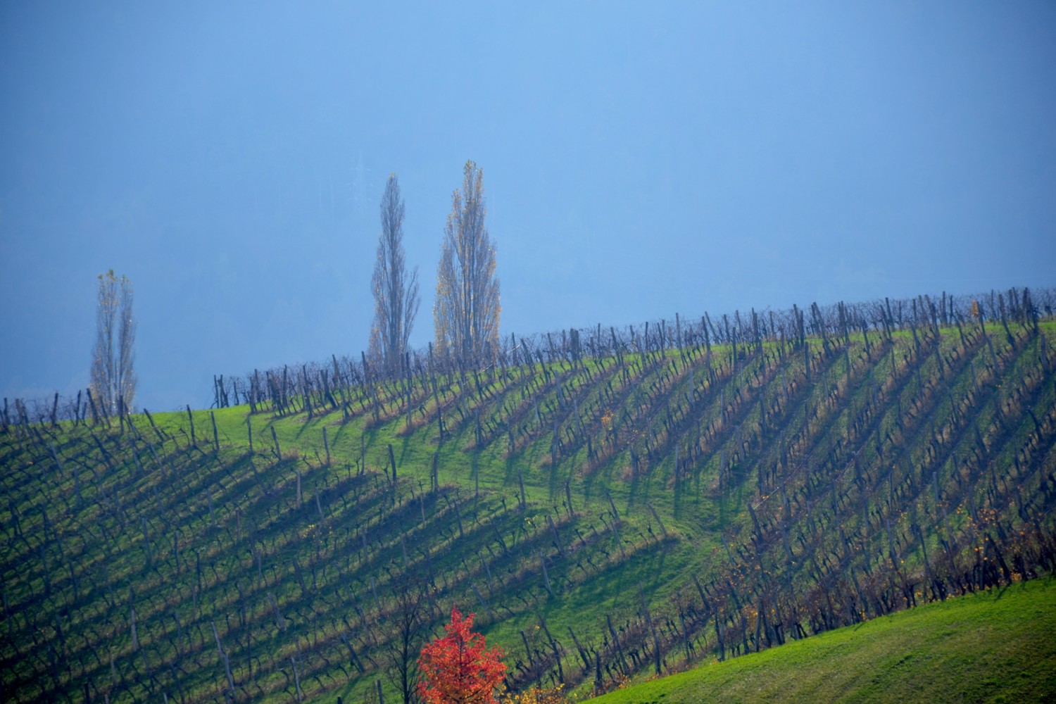slovenia slovenske konjice