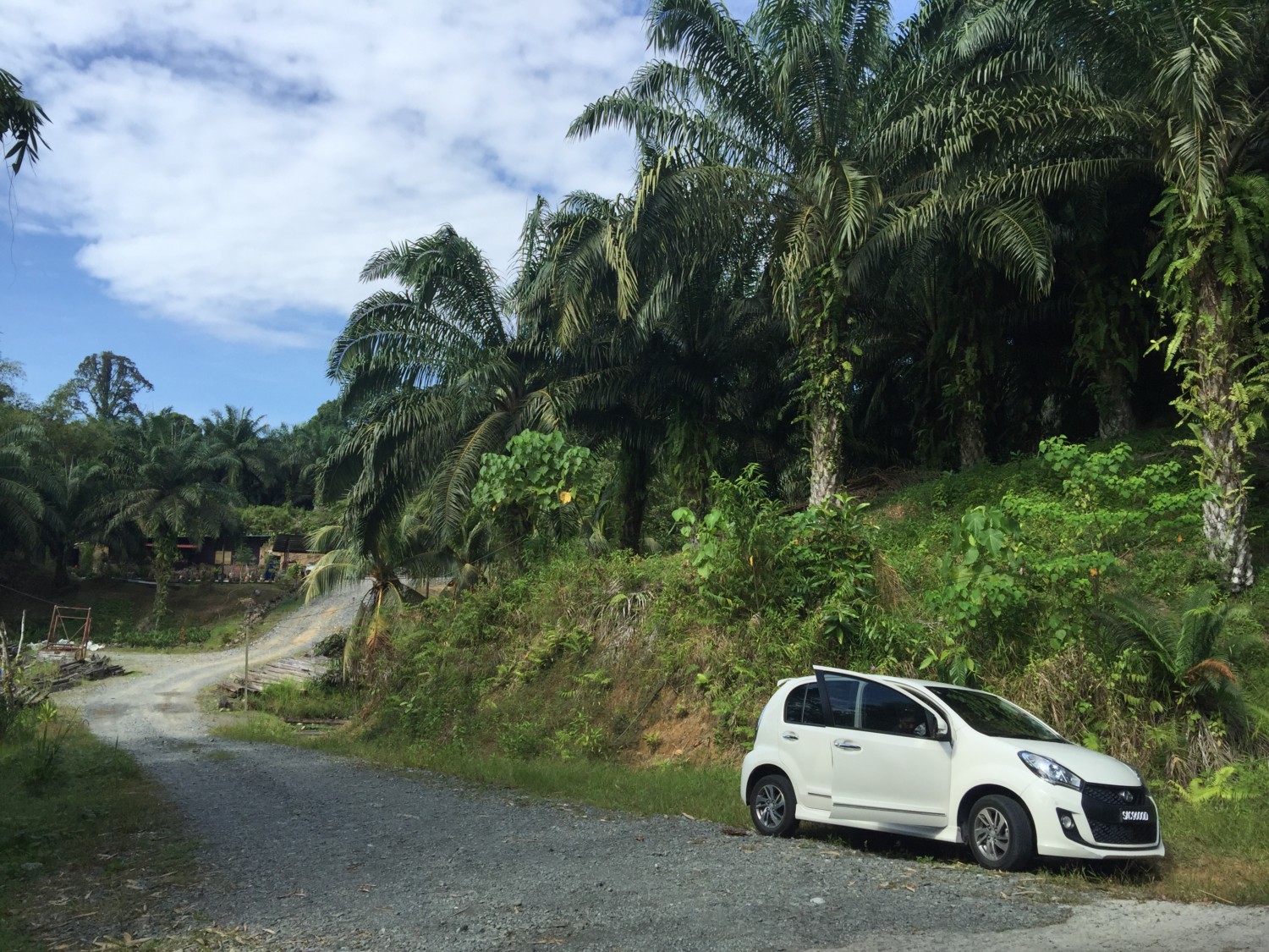 borneo fai da te itinerario borneo fai da te itinerario