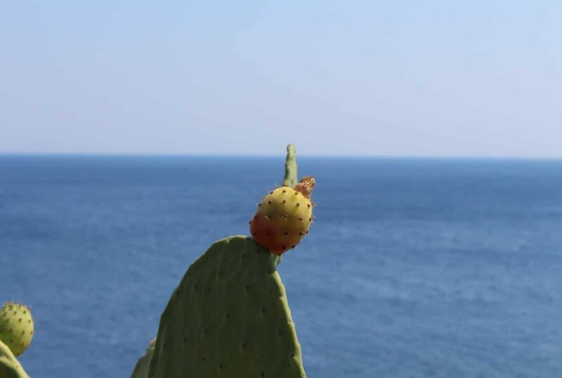 salento torre dell'orso