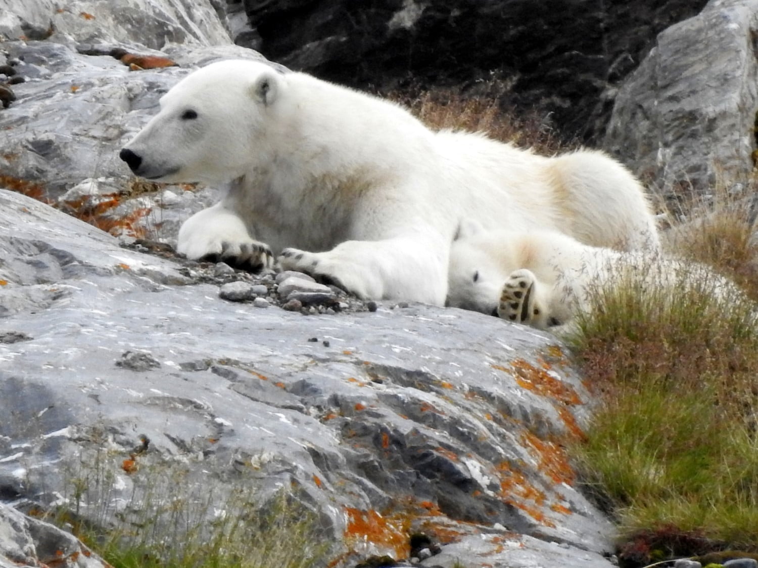 conversando di viaggi
