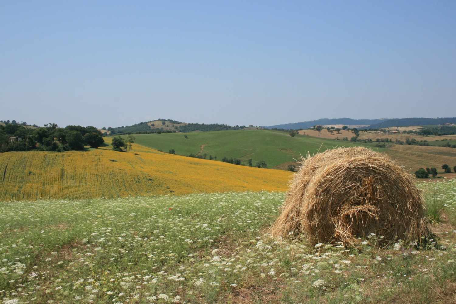 cosa vedere nella maremma toscana