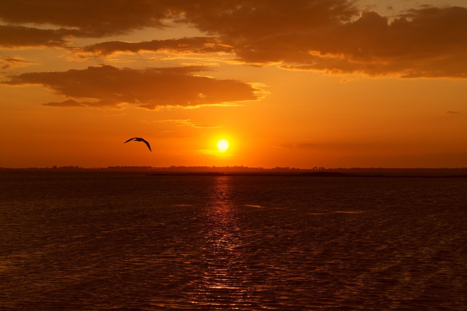 cosa vedere nella maremma toscana