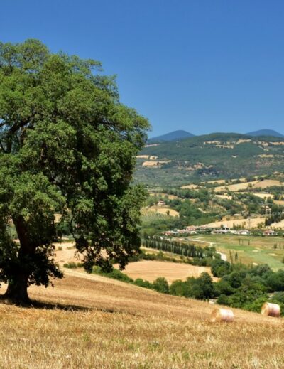 cosa vedere in maremma