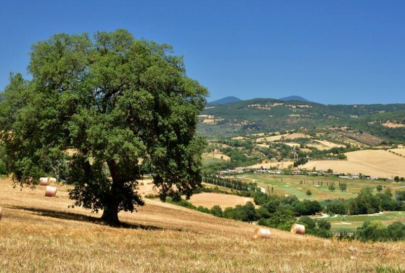 cosa vedere in maremma