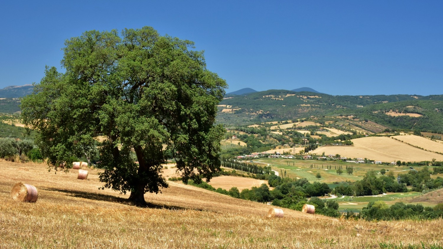 cosa vedere in maremma