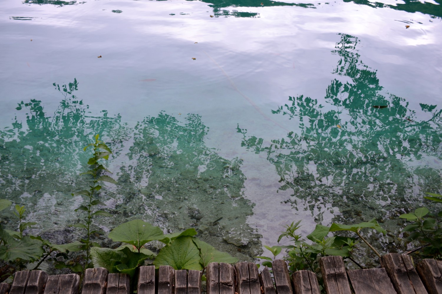 cosa sapere per visitare i laghi di Plitvice cosa sapere per visitare i laghi di Plitvice