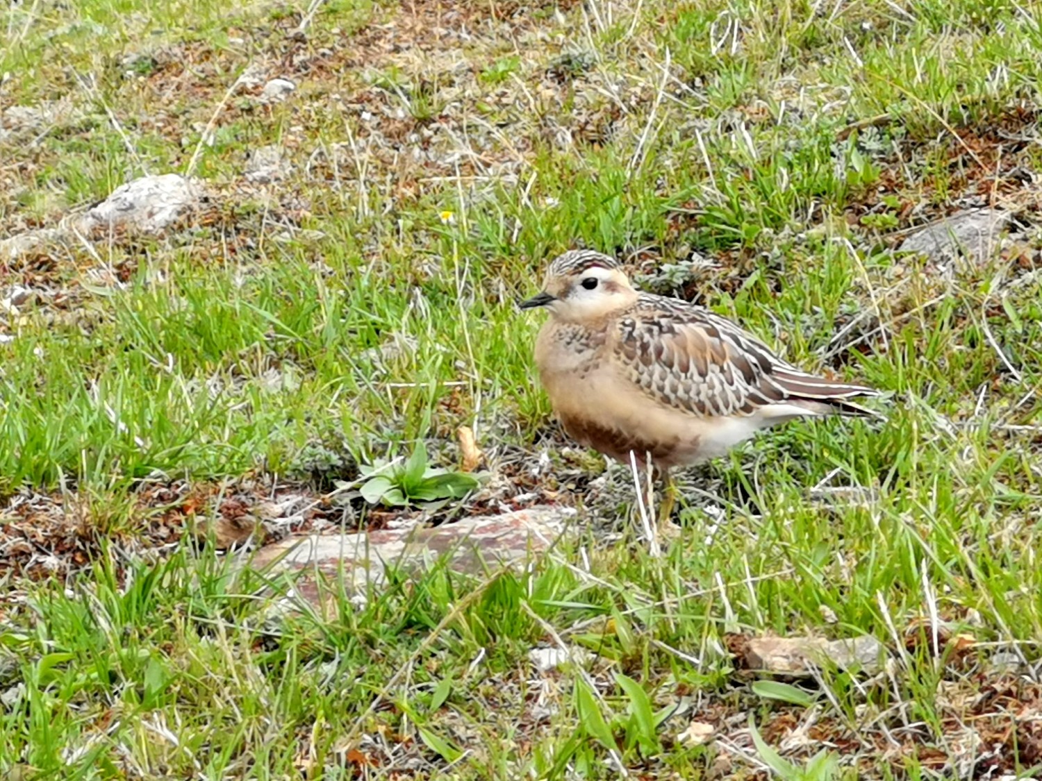 aspromonte dove andare aspromonte dove andare