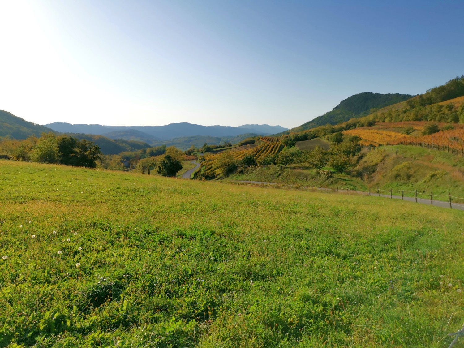 cosa vedere nella valle del vipava