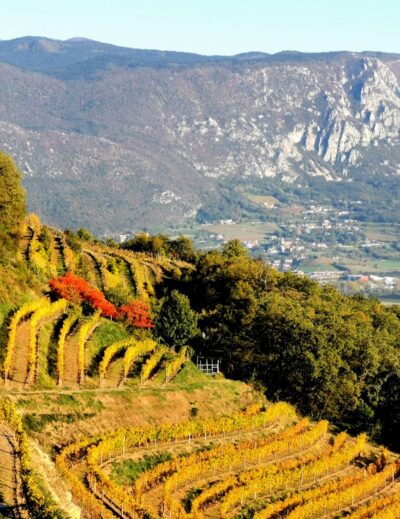 cosa vedere nella valle del vipava