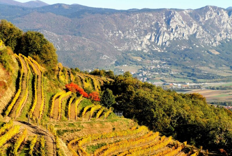 cosa vedere nella valle del vipava
